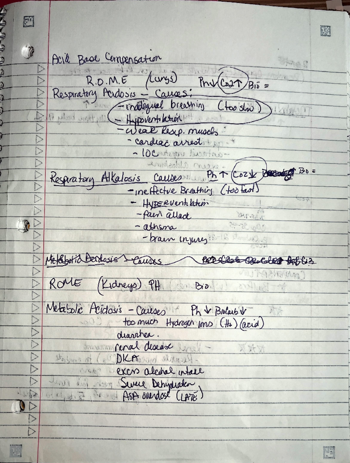 Acid Base Compensation Notes - VNSG 2431 - Studocu