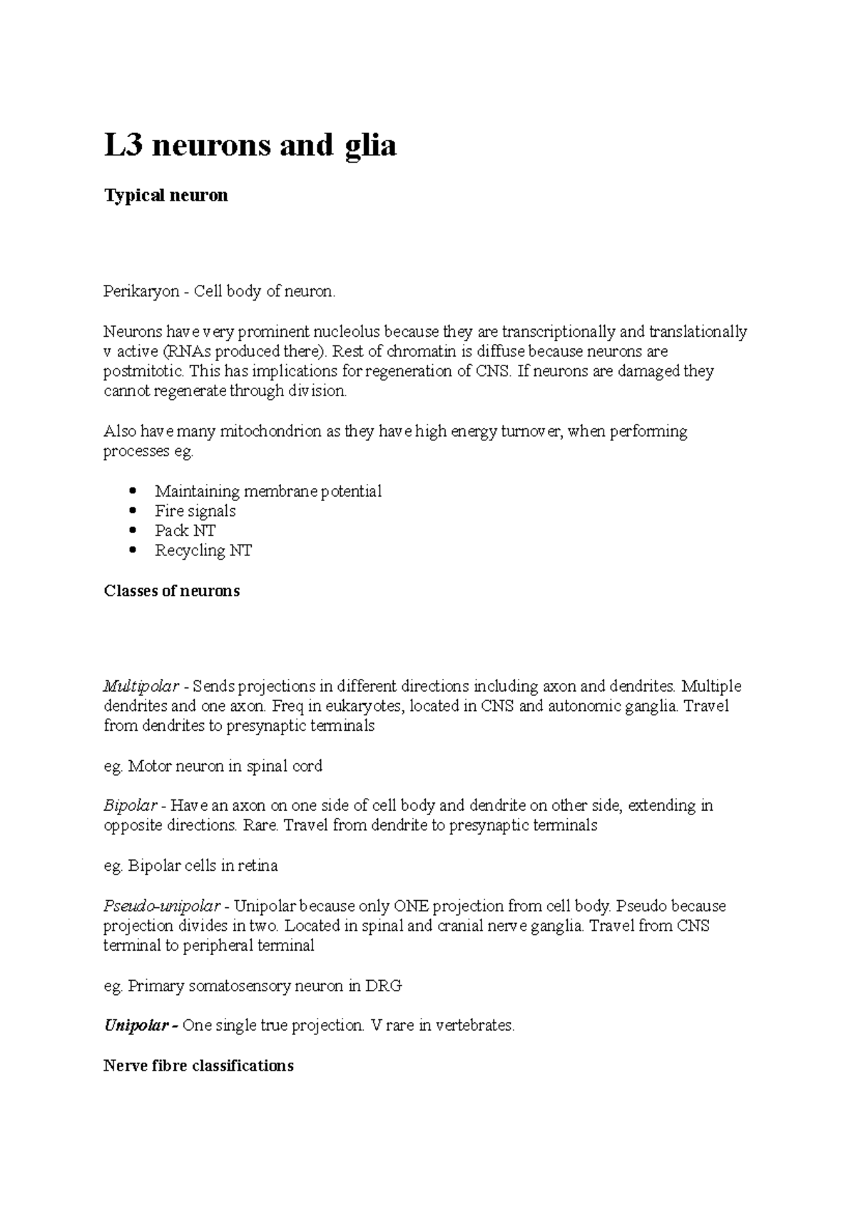 L3 neurons and glia - lecture notes - L3 neurons and glia Typical ...