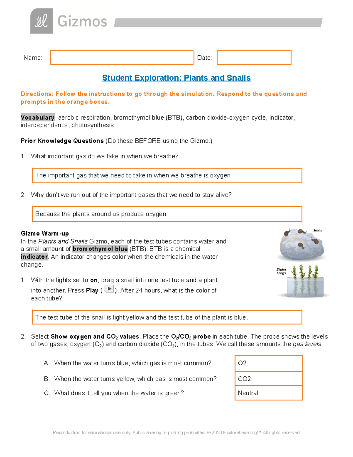 Gizmo Plants Snails SE Name Date Student Exploration Plants and
