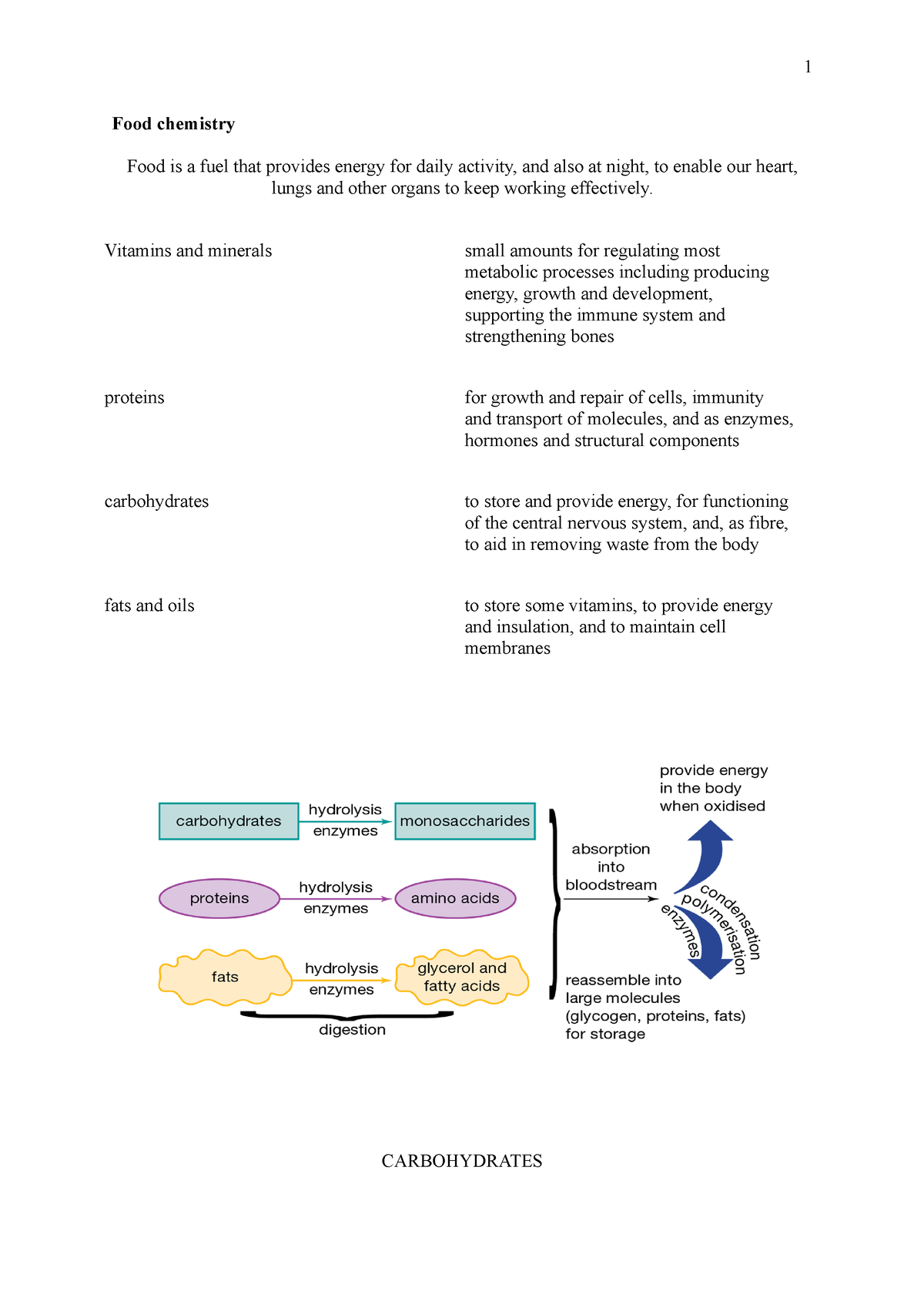 2022 Carbohydrates Just Do It Food Chemistry Food Is A Fuel That   Thumb 1200 1698 