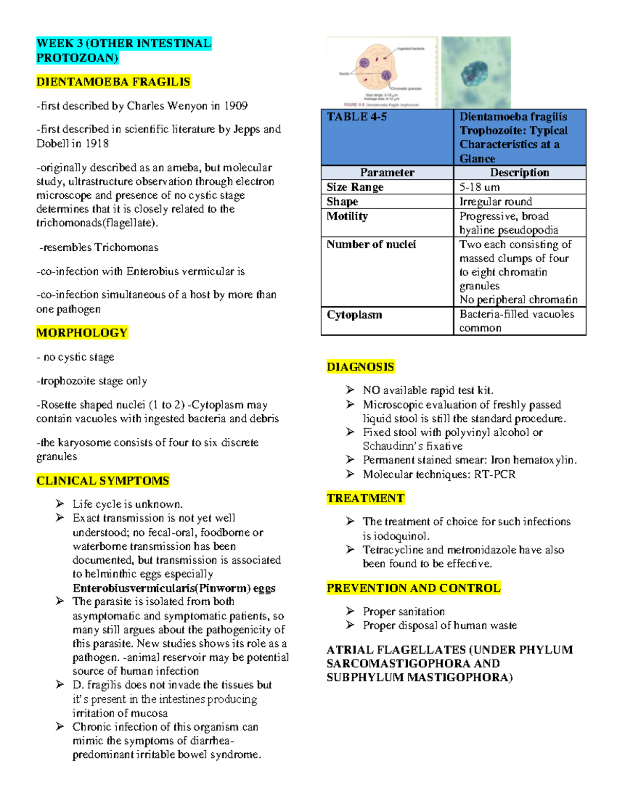 Week-3 Parasitology - Week 3 (other Intestinal Protozoan) Dientamoeba 