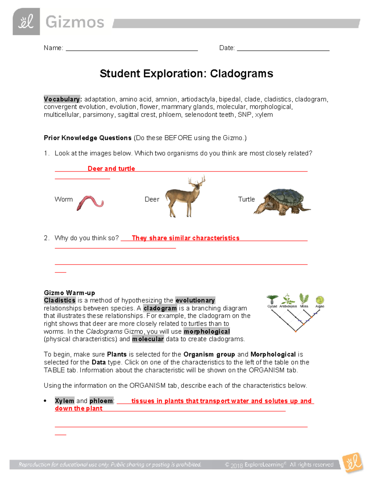 Cladograms Gizmo Name Date Student Exploration Cladograms