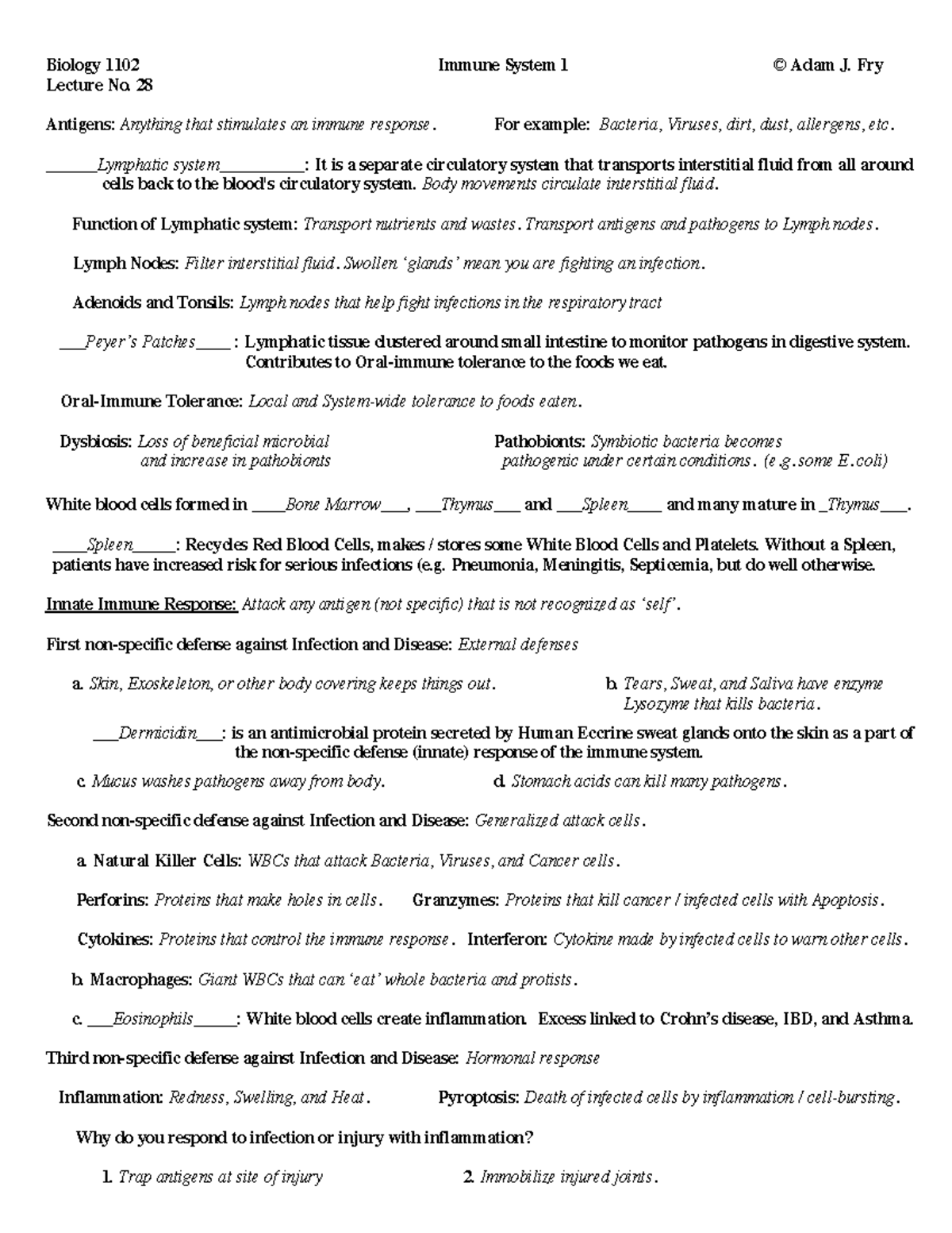 L28Immune System 1ANS - Biology 1102 Immune System 1 © Adam J. Fry ...