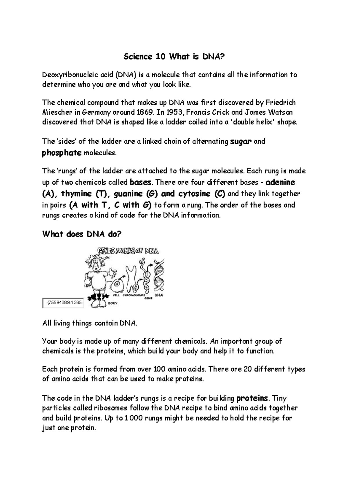 building-dna-instructions-and-template-science-10-what-is-dna