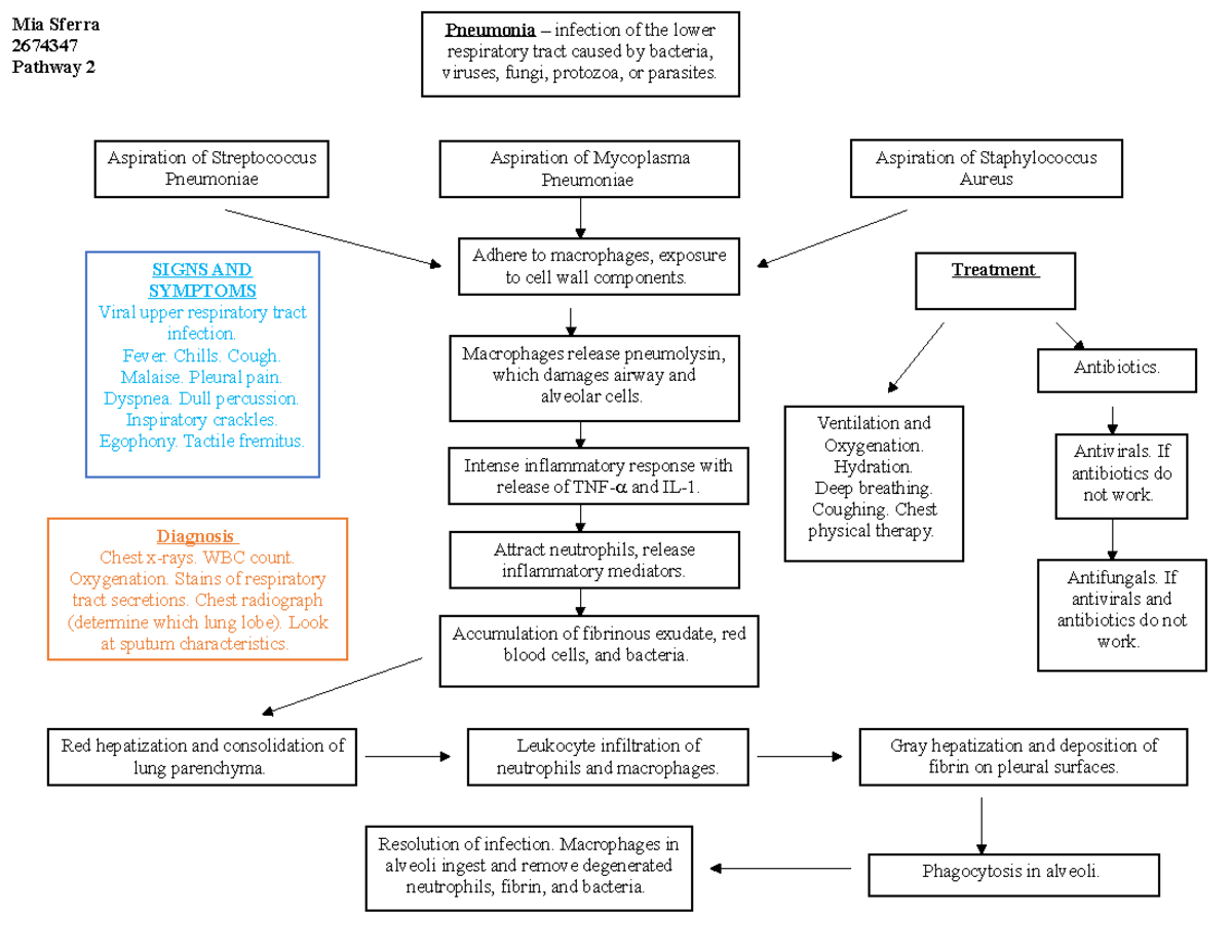 Pneumonia Pathway Antibiotics. Antivirals. If antibiotics do not work