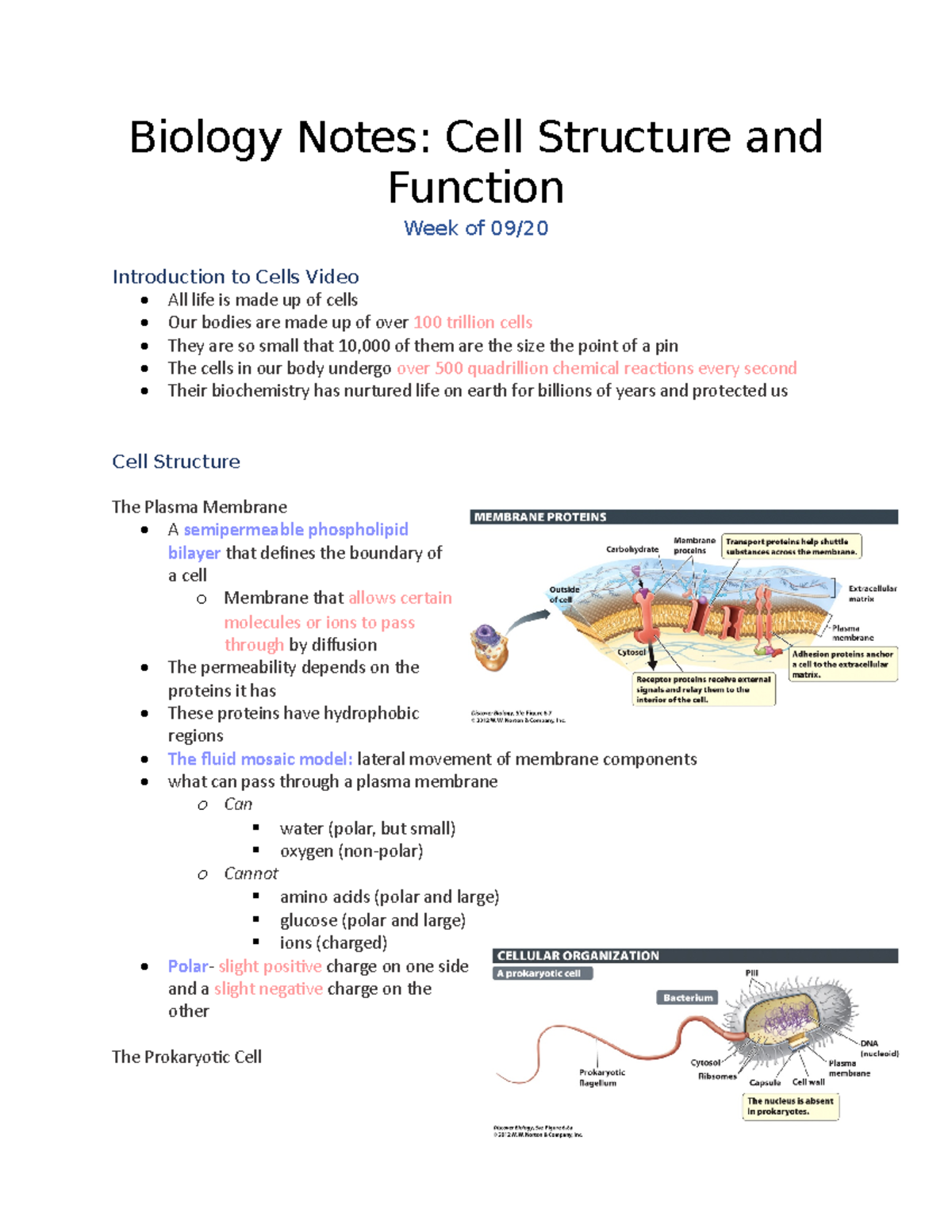 Biology Notes 09:20 - Biology Notes: Cell Structure and Function Week ...