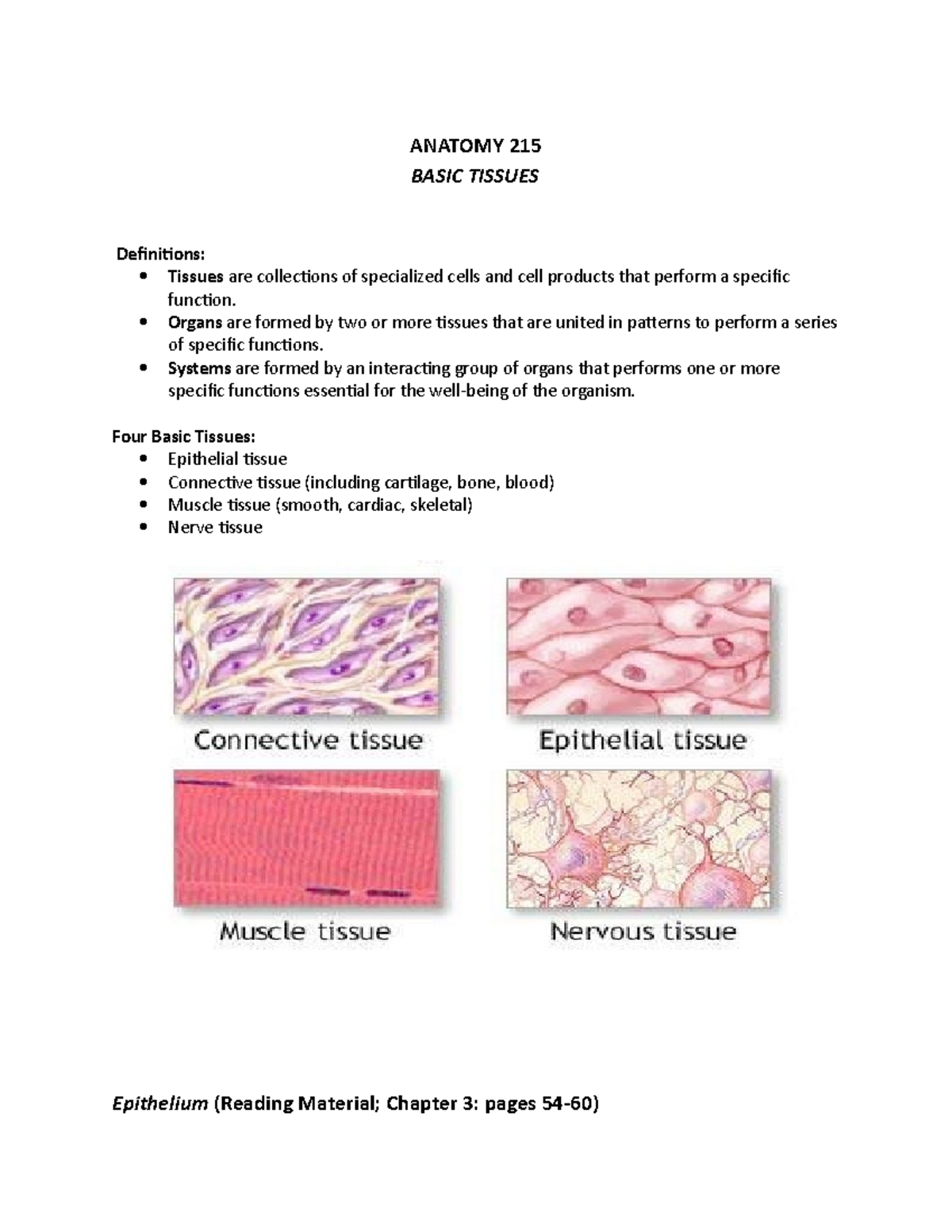 3. Basic Tissues - ANATOMY 215 BASIC TISSUES Definitions: Tissues are ...