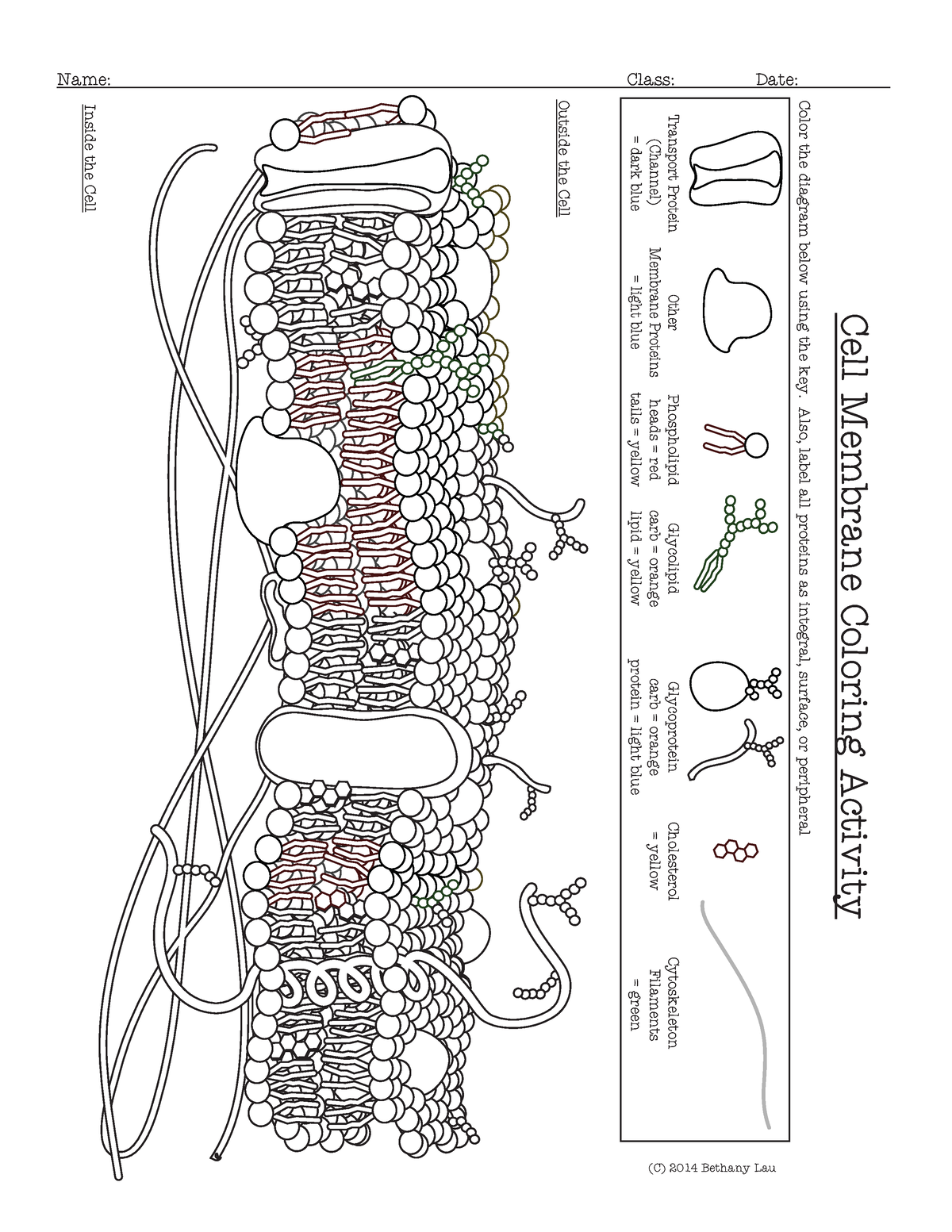 Plantae | PI4P production at the plasma membrane: A giant protein complex  for a tiny lipid | Plantae