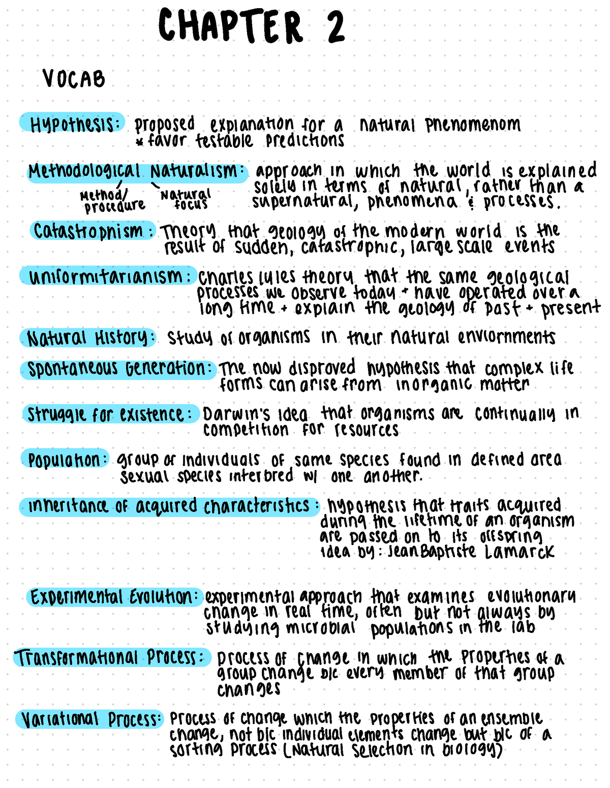 hypothesis vocab word