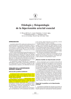Hipertensión arterial esencial definicion de amor Hipertensión arterial esencial definicion de amor