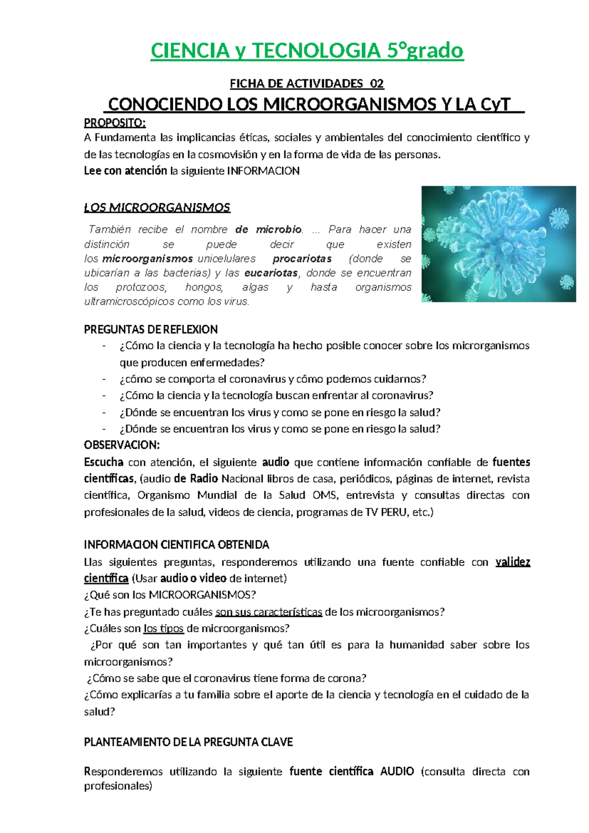 3 FO3 LOS Microorganismos CYT 5° -Ay B - CIENCIA y TECNOLOGIA 5°grado ...