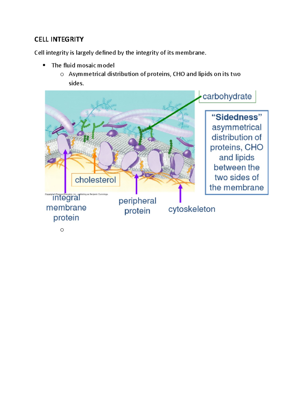 CELL Integrity - CELL INTEGRITY Cell integrity is largely defined by ...