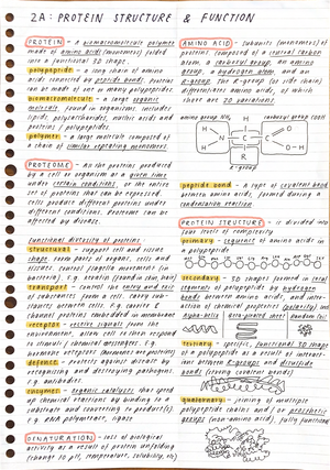 Bio Unit 3 Notes - Edrolo 2f - Protein Secretory Pathway - Studocu