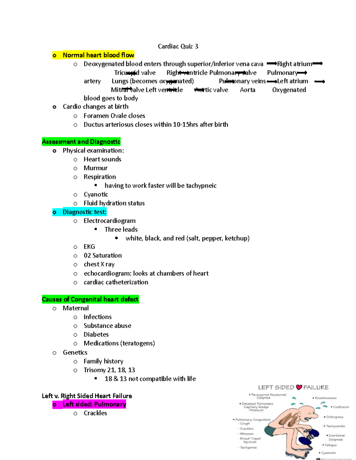Cardiac study guide - Cardiac Quiz 3 o Normal heart blood flow o ...