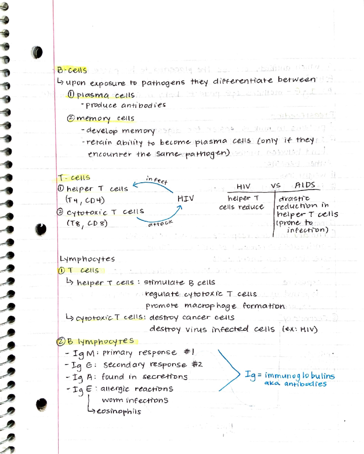 How To Take Awesome Notes In Class