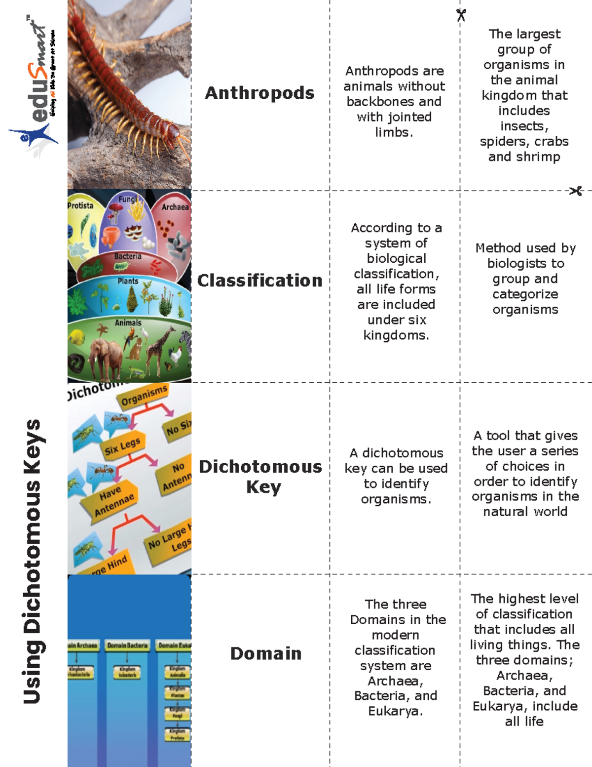 7.11 (A) Using Dichotomous Keys - Using Dichotomous Keys Anthropods ...