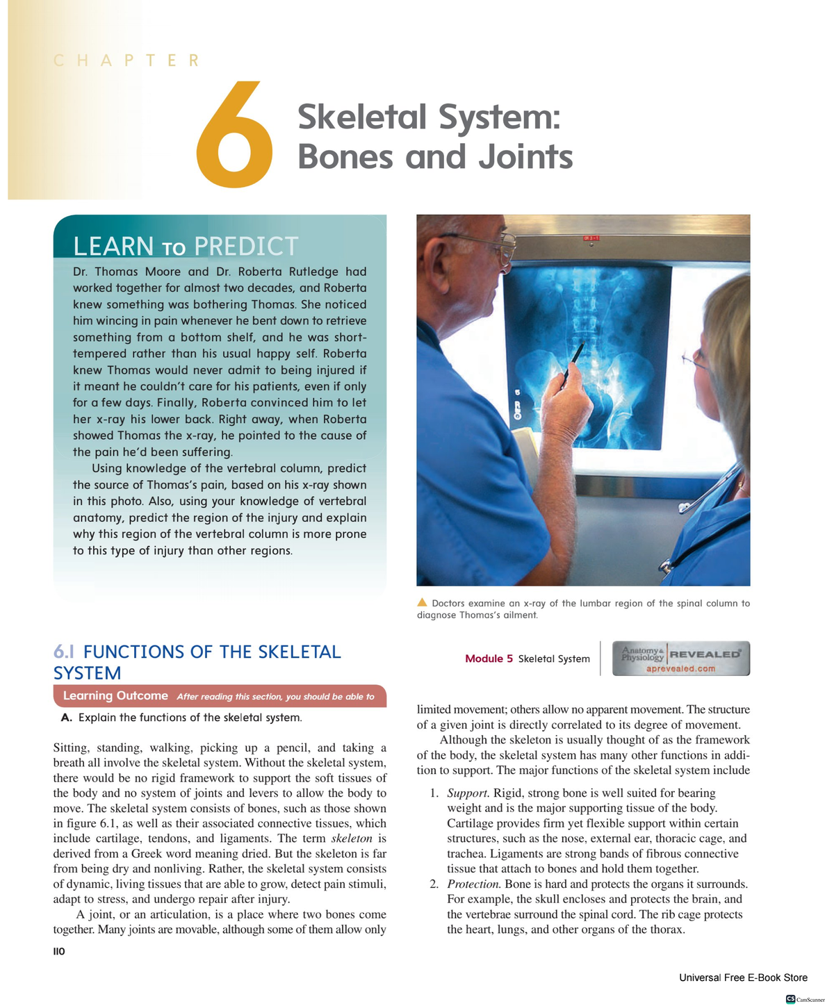 Chapter 06 Skeletal System Bones And Joints Bachelor Of Civil