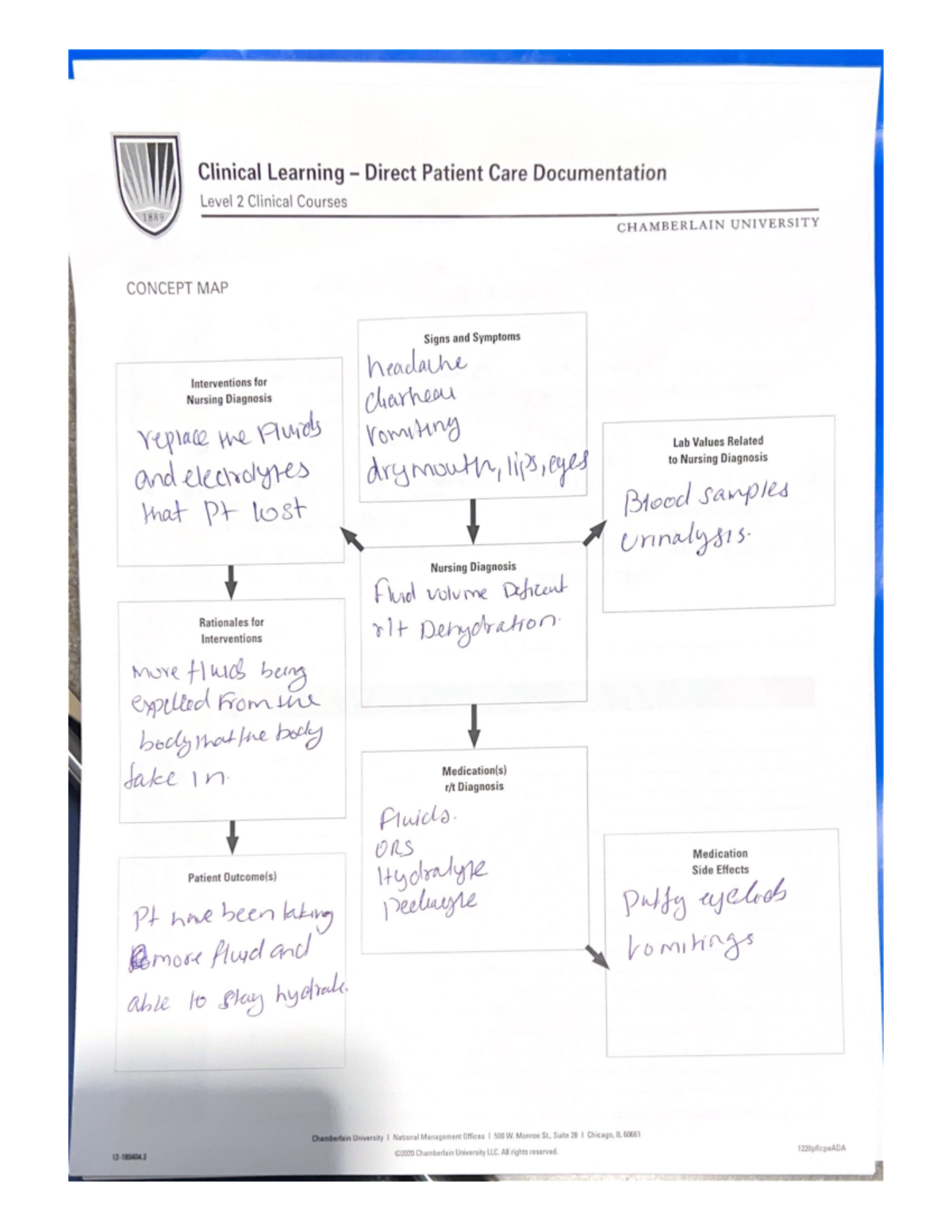 clinical-learning-direct-patient-care-documentation-comp-447-studocu