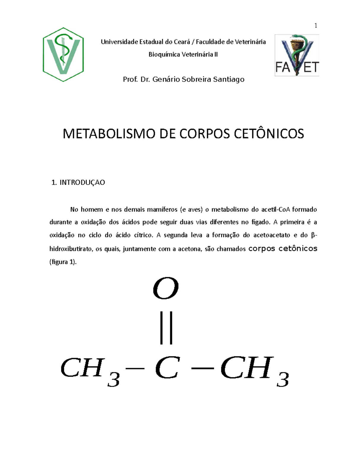 Metabolismo Corpos Cetonicos - 1 Universidade Estadual do Faculdade de ...