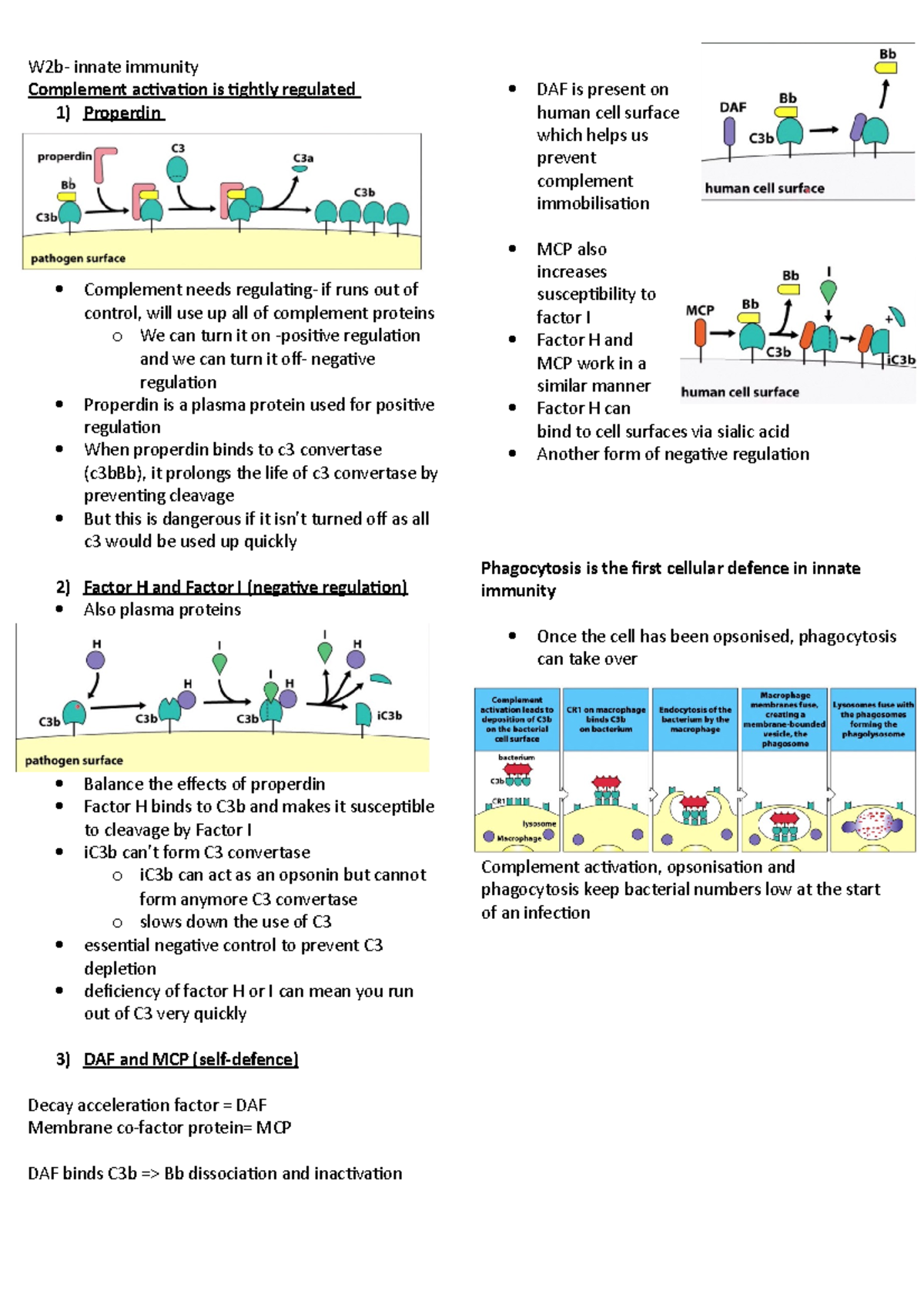 W2b-innate immunity - Lecture notes 2 - W2b- innate immunity Complement ...