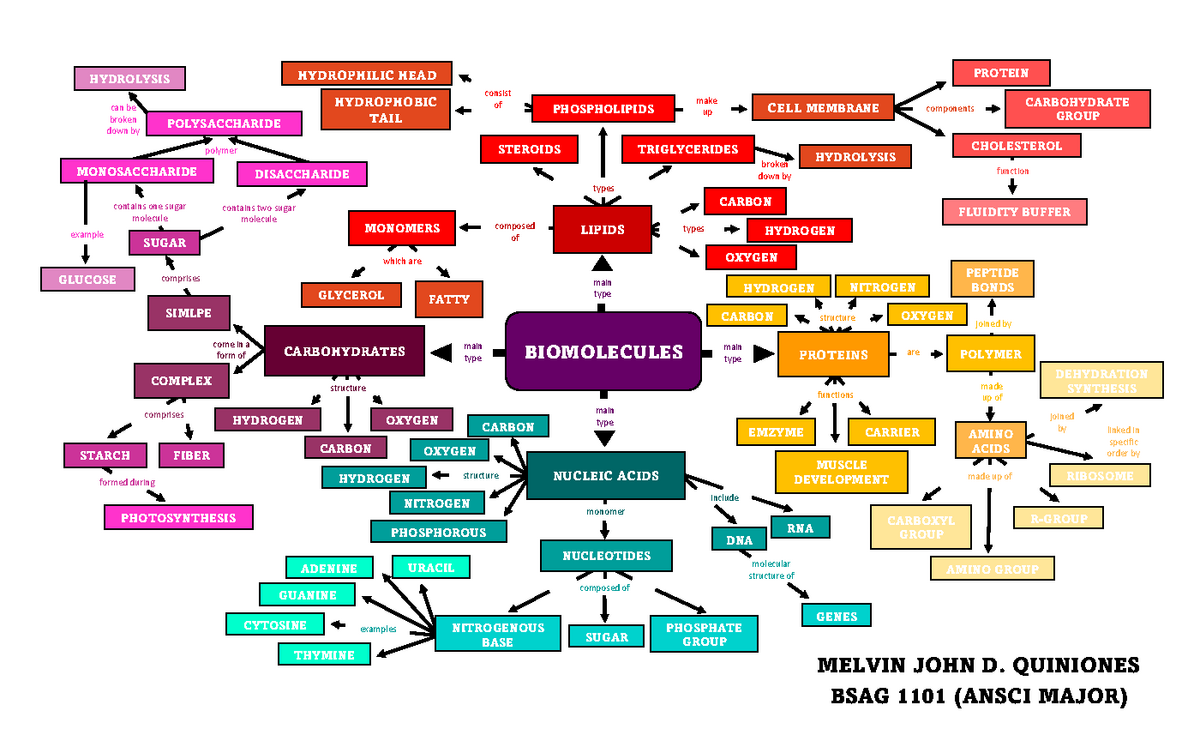 Map Of Biomolecules By Joseph Brown 3979