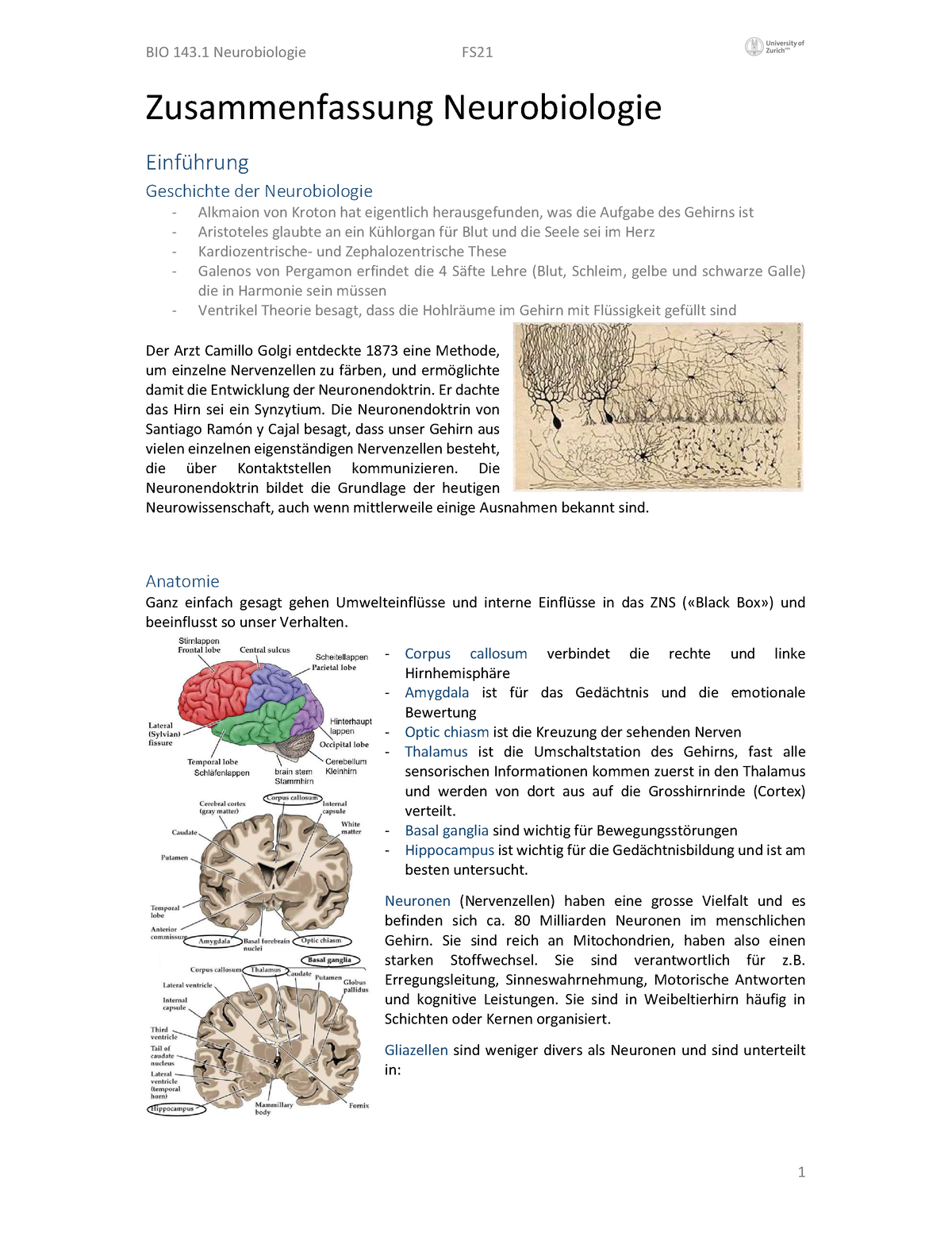 Zusammenfassung BIO 143 - Zusammenfassung Neurobiologie Einführung ...