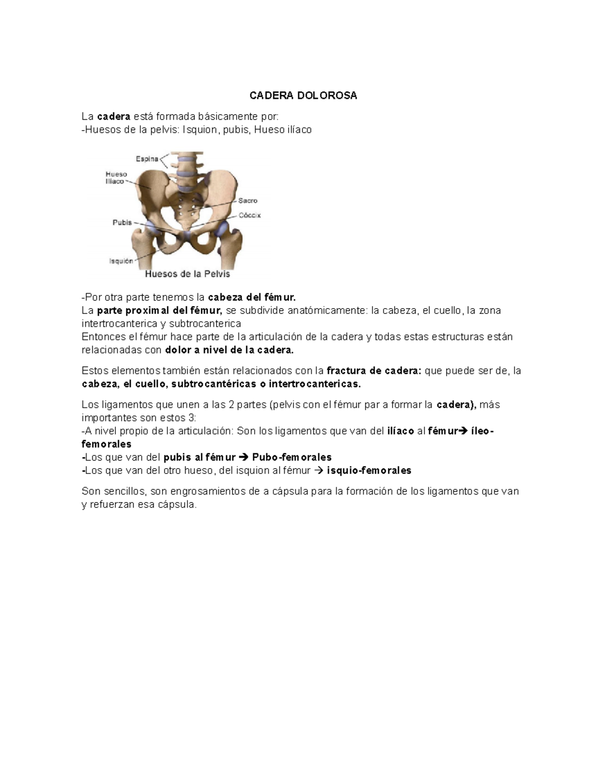 dolor entre la cadera y el pubis