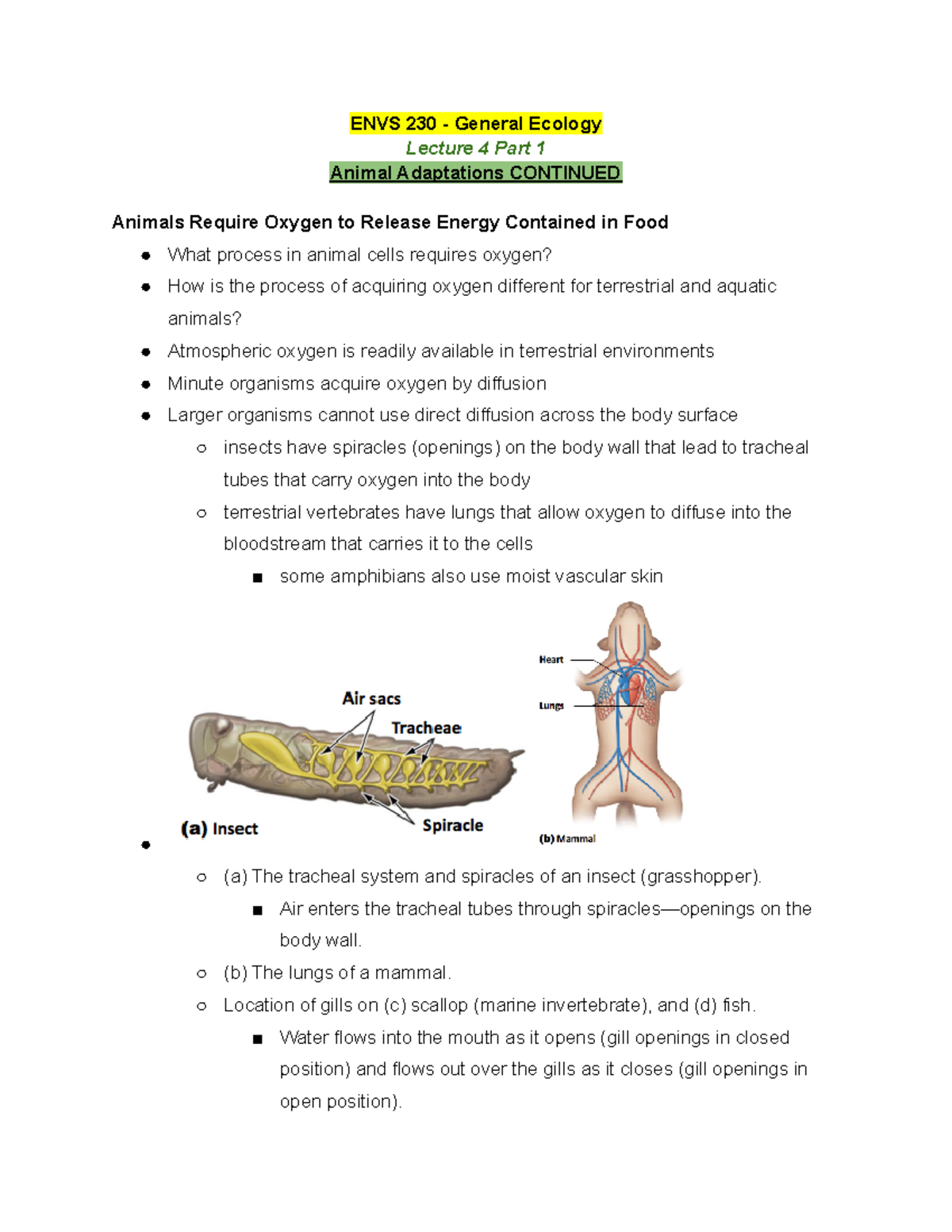 ENVS 230 Lecture 4 Part 1 Spring 2020 - ENVS 230 - General Ecology ...