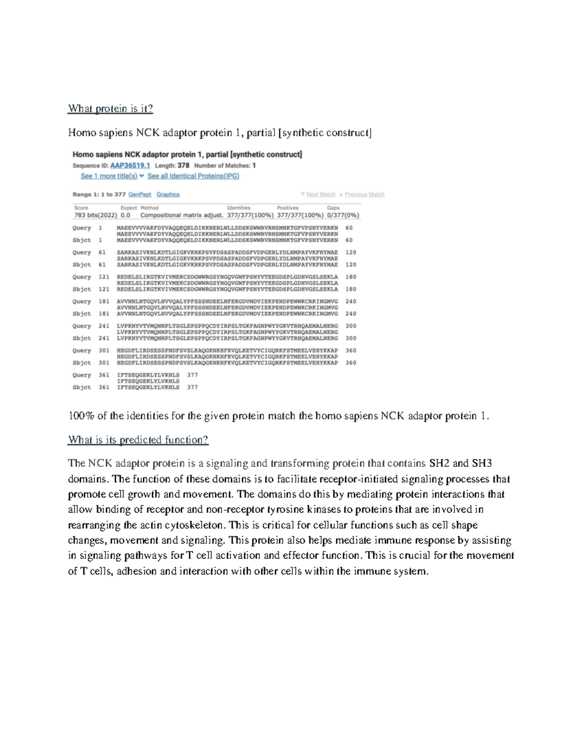 BSC404-Take Home 1 - given an amino acid sequence, provide the protein ...