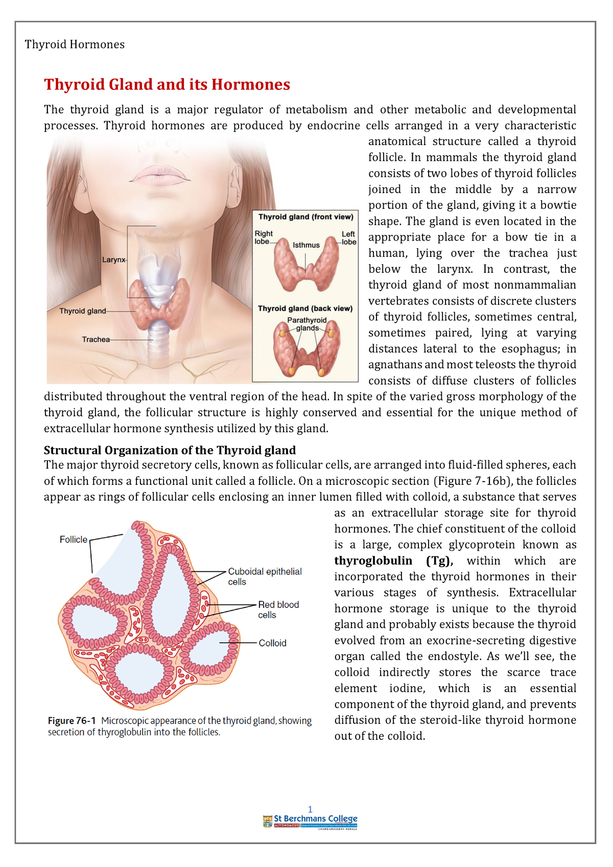 Thyroid glands and its hormones - Thyroid Gland and its Hormones The ...