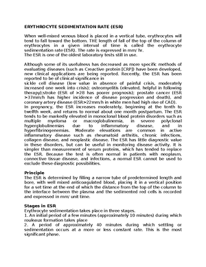 BONE Marrow Structure AND Smear Examination - BONE MARROW STRUCTURE OF ...