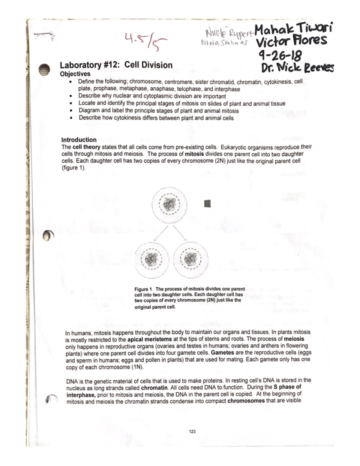 Lab 12 - Lab Work - A A i I a Mahak Tivori a 7 ae hie a wel Victor ...