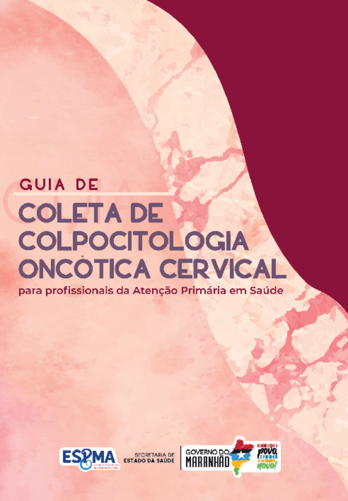 Virtual-guia-de-colpocitologia-oncotica-cervical dasmu-espma ...