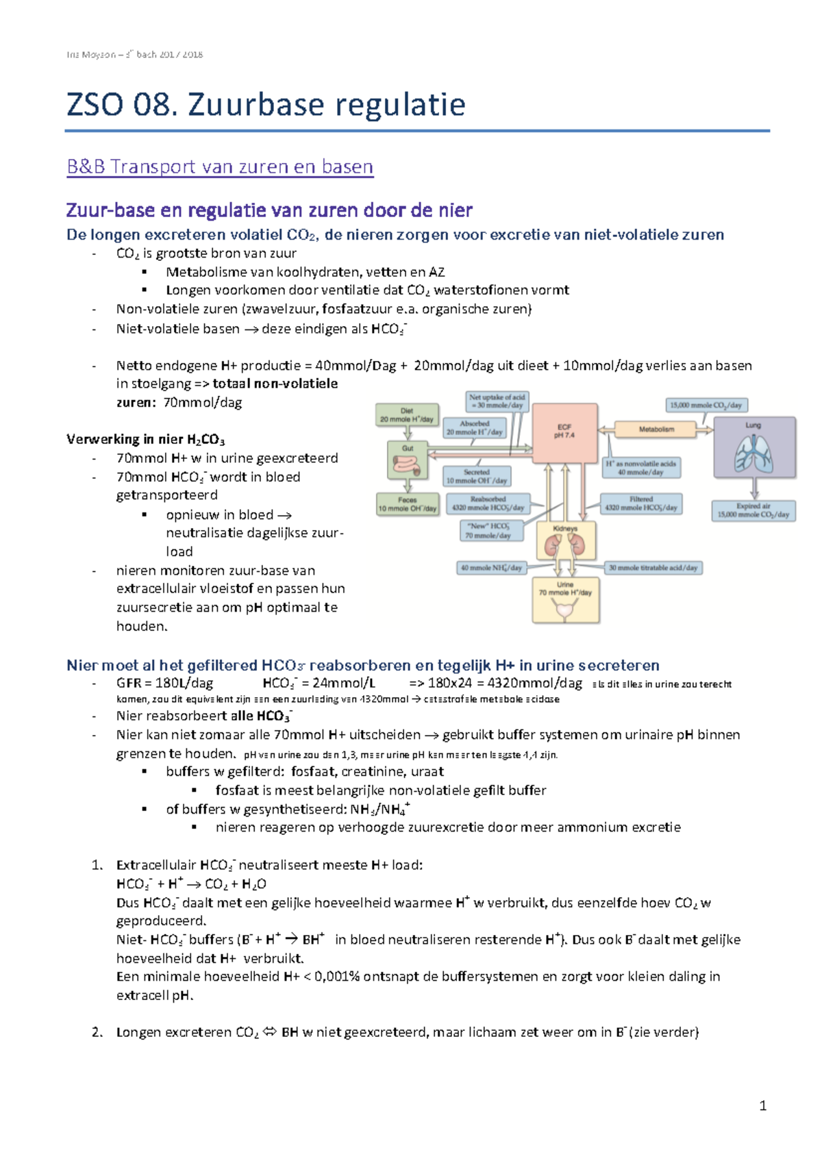 ZSO 08 - Samenvatting Nier En Homeostase - Iris Moyson 3e Bach 2017 ...