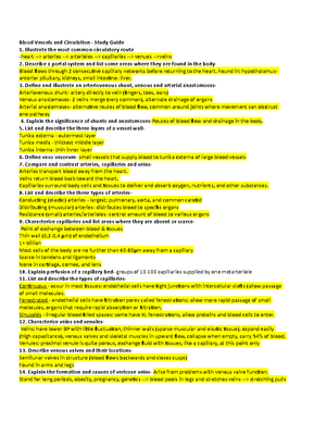 Thecardiovascular - Cardiovascular Study Guide - Cardiovascular System ...