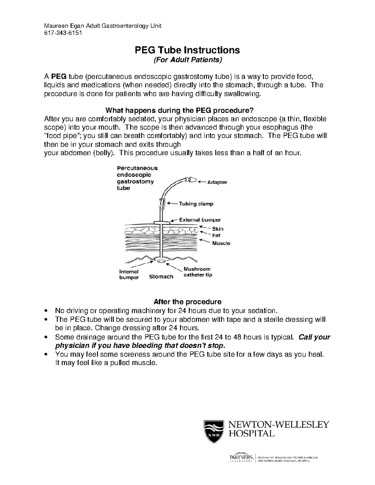 Peg Tube Template Lab Skills Maureen Egan Adult Gastroenterology