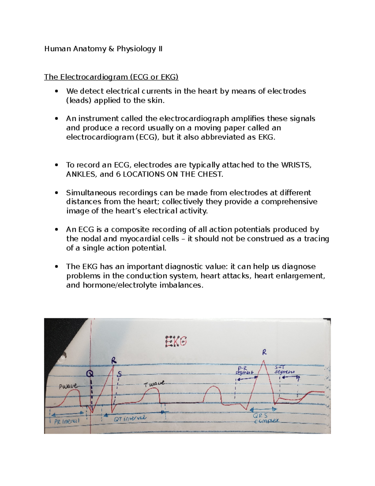 AP2 The Electrocardiogram - Human Anatomy & Physiology II The ...