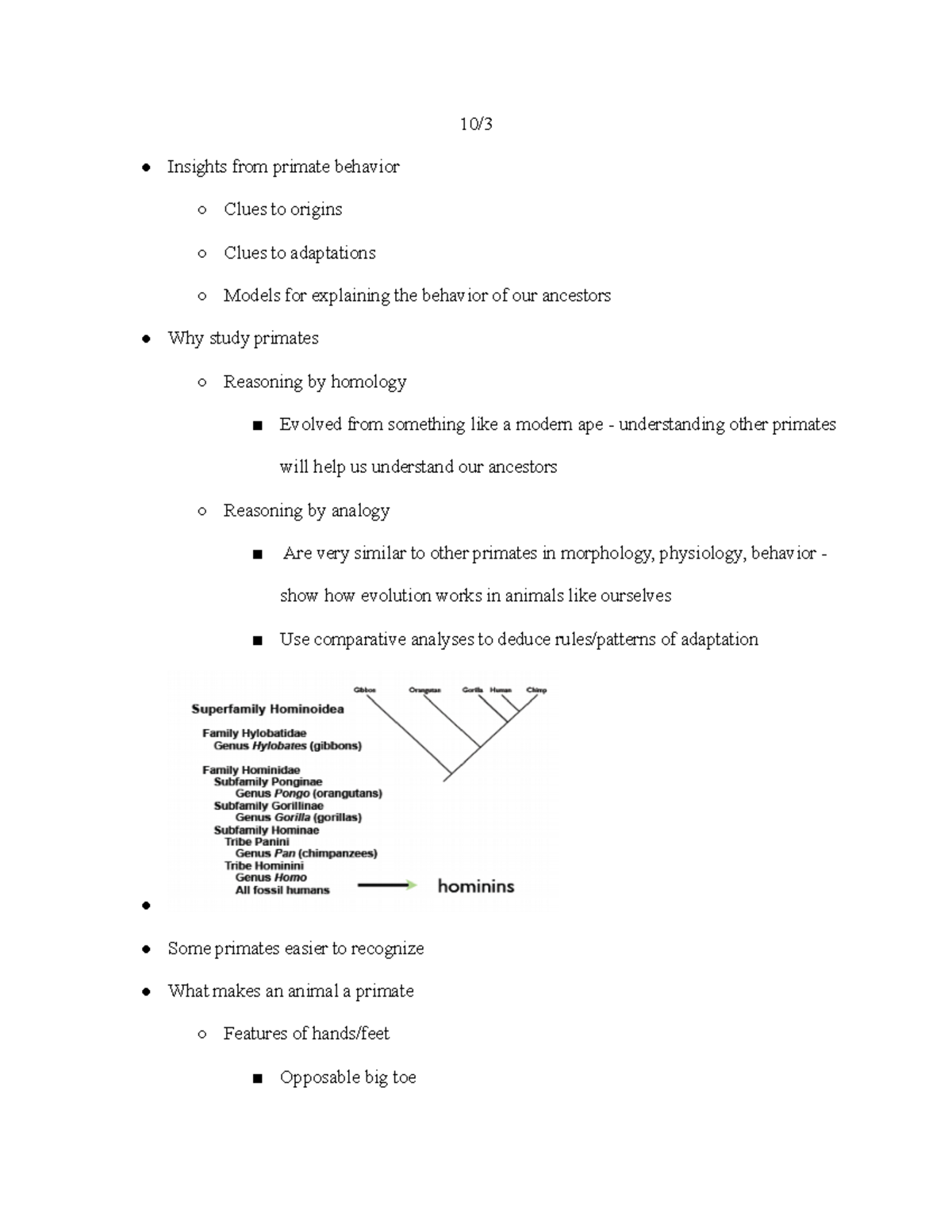 ANT 102 - 10 3 Class Notes - 10/ Insights from primate behavior Clues ...