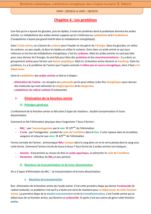 Chap Les Glucides Notes De Cours L Chapitre Les Glucides I