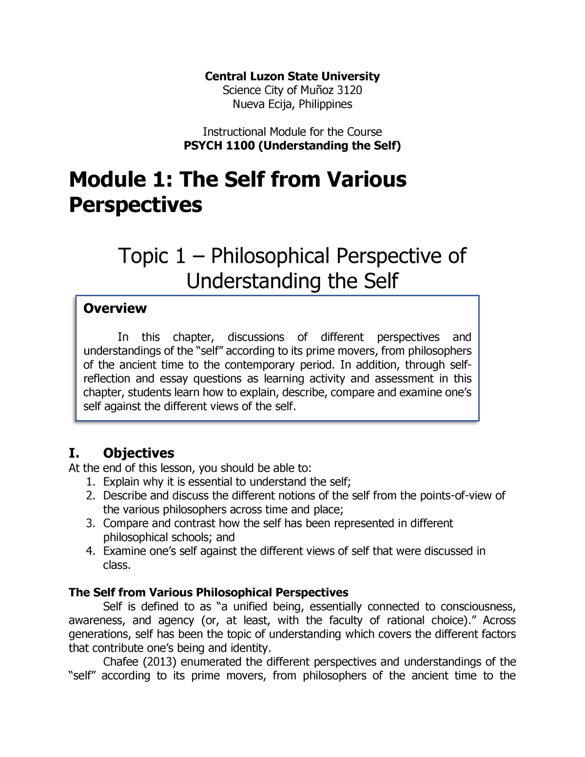 the philosophical perspective of the self essay