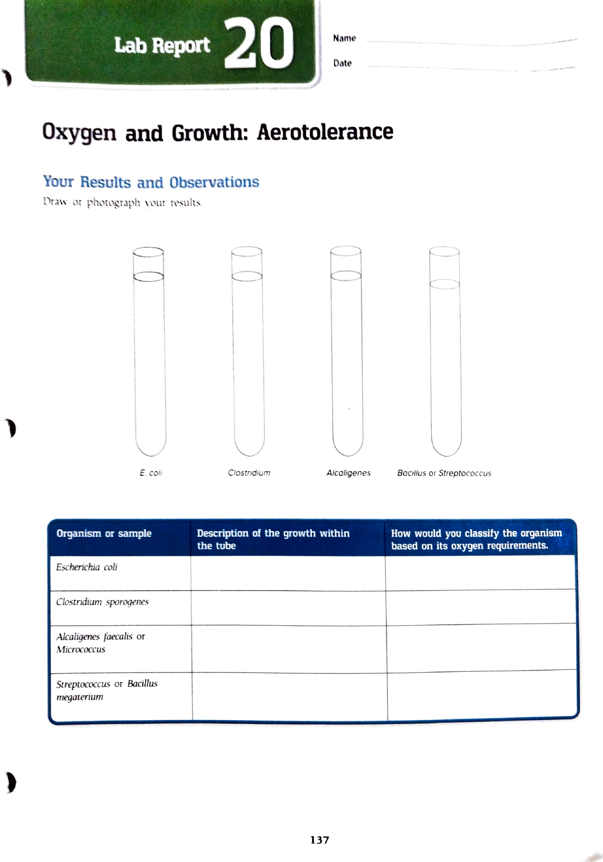 assignment lab report quizlet