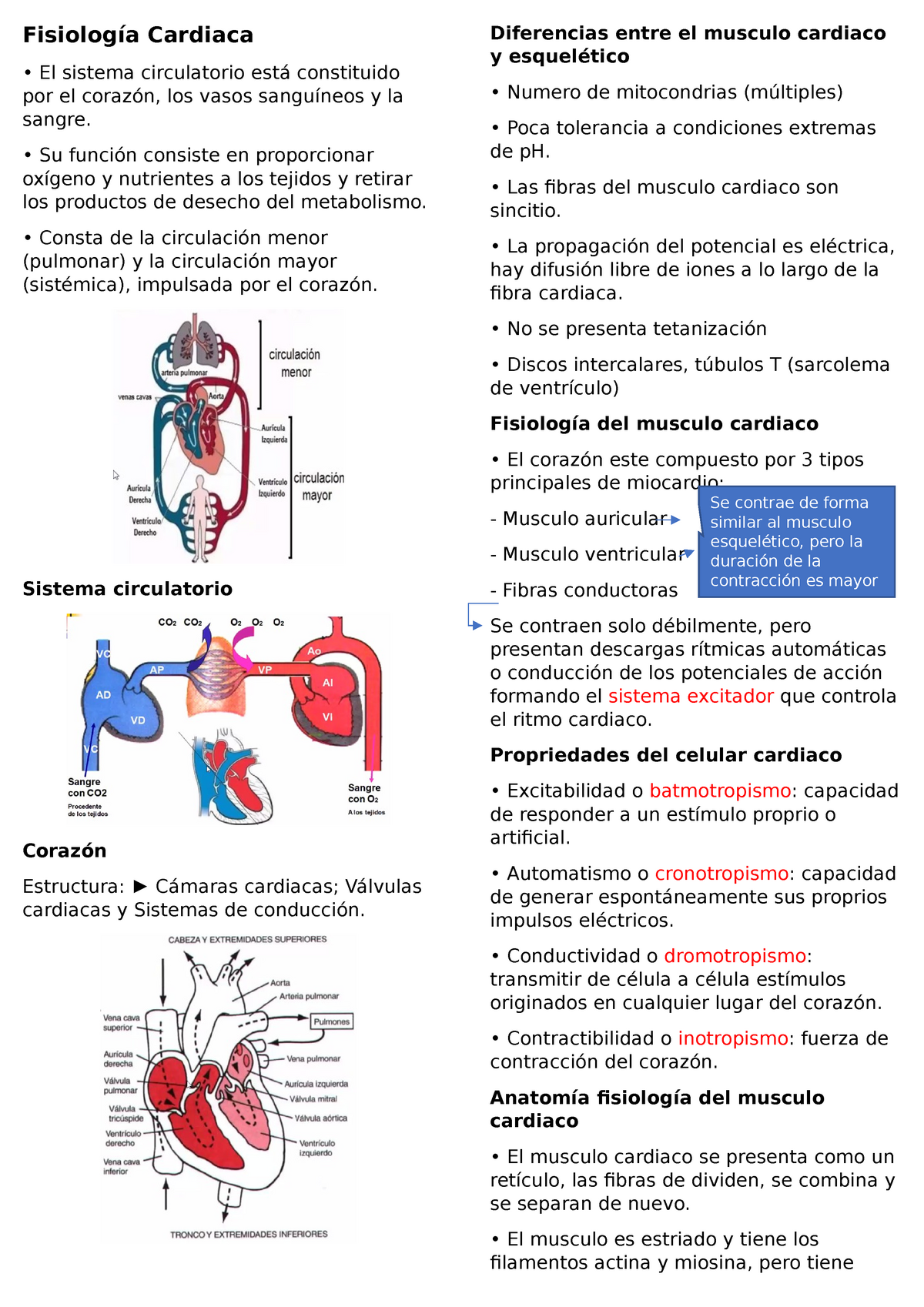 Fisio Cardiovascular Guyton Fisiología Cardiaca El Sistema Circulatorio Está Constituido Por 6801