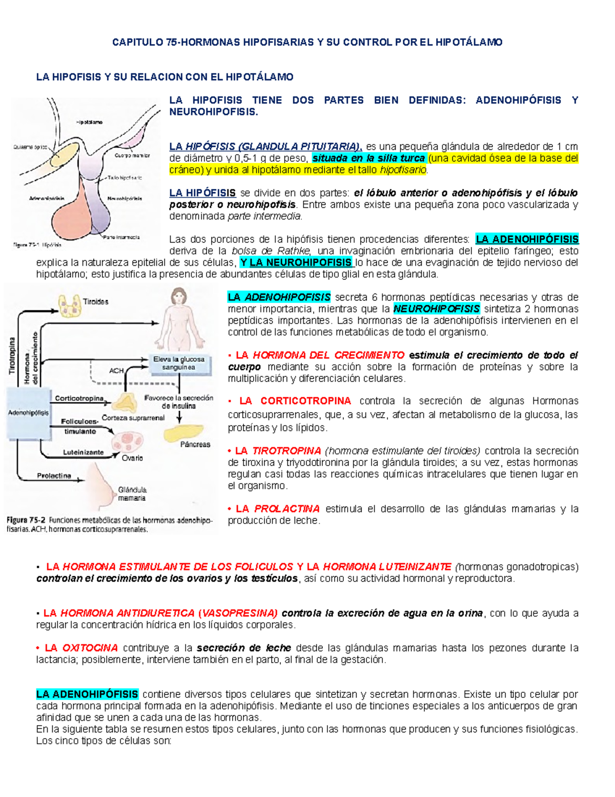 hormona de crecimiento humano contraindicaciones