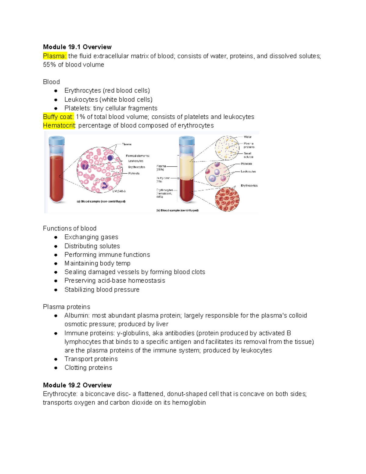 Chapter 19 Blood - William Hedderson - Module 19 Overview Plasma: the ...