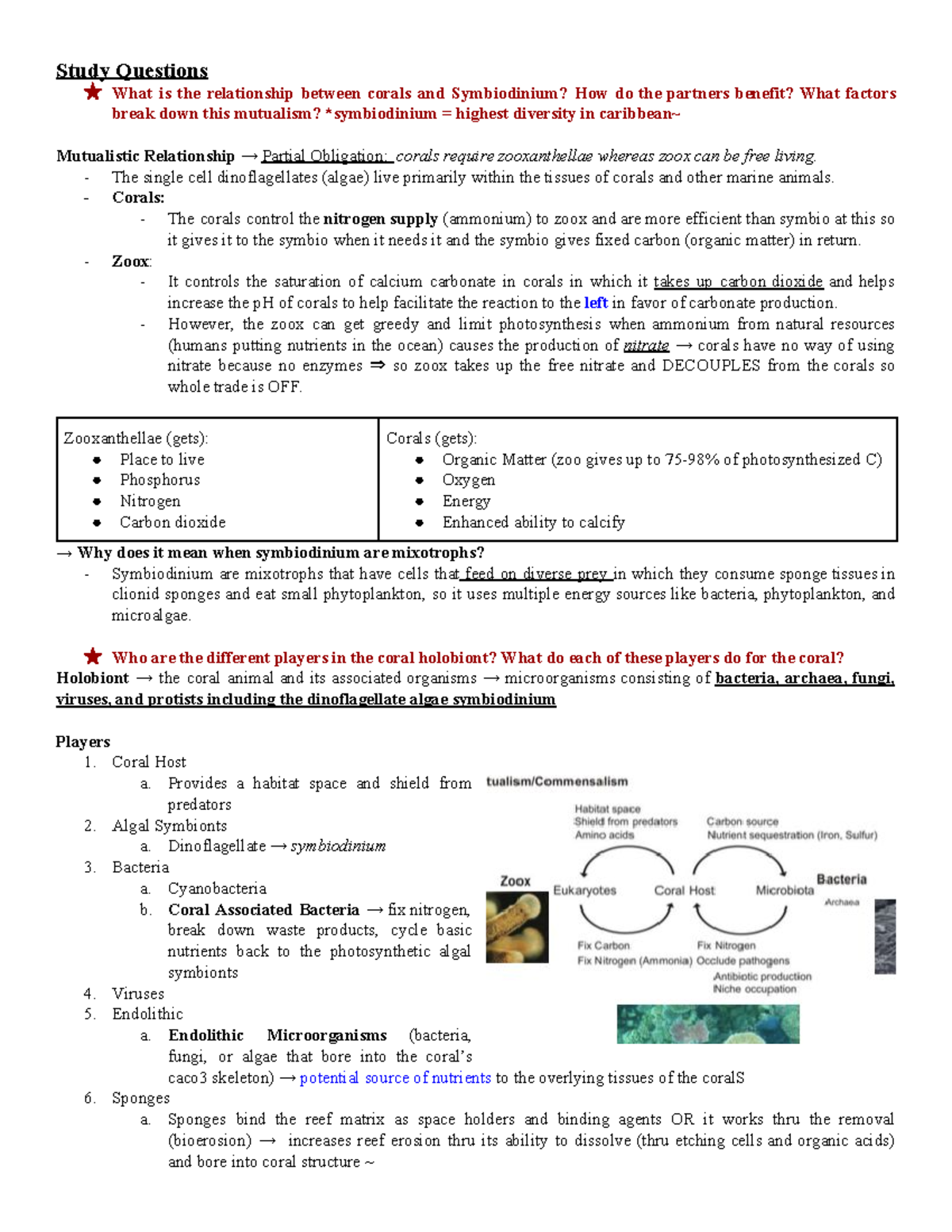 147 Final Study Guide - Study Questions What is the relationship ...