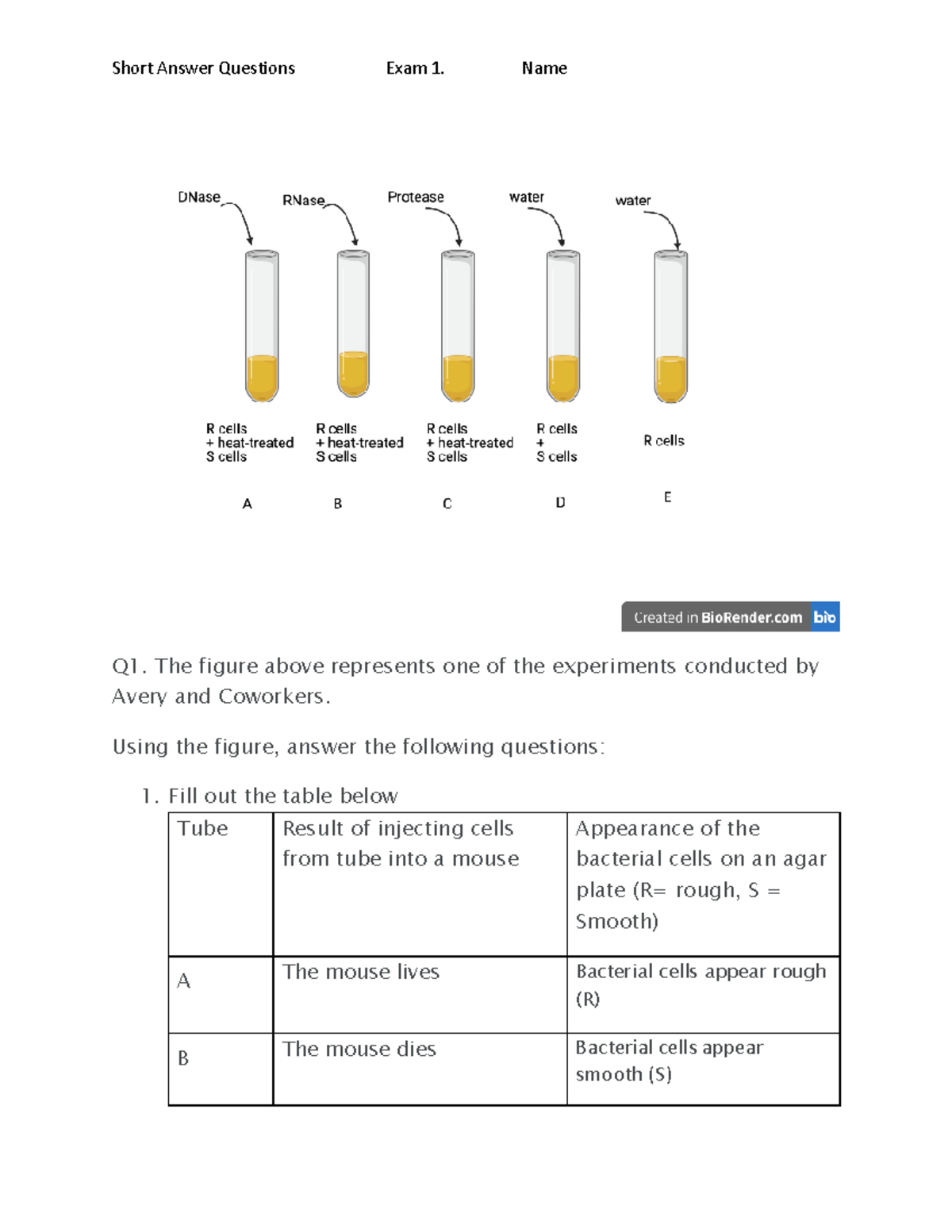 experiments in fluids q1