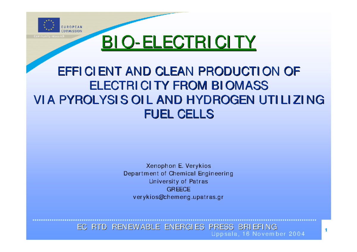 research paper on bioenergy