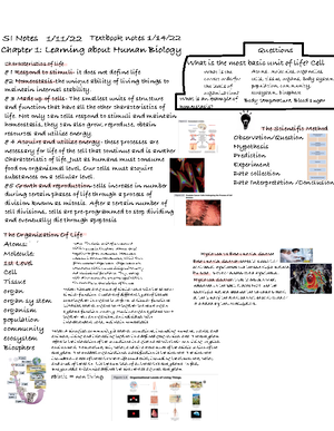 Bio 102 Principles Of Human Biology C.10 - Chapter 10: Respiratory ...