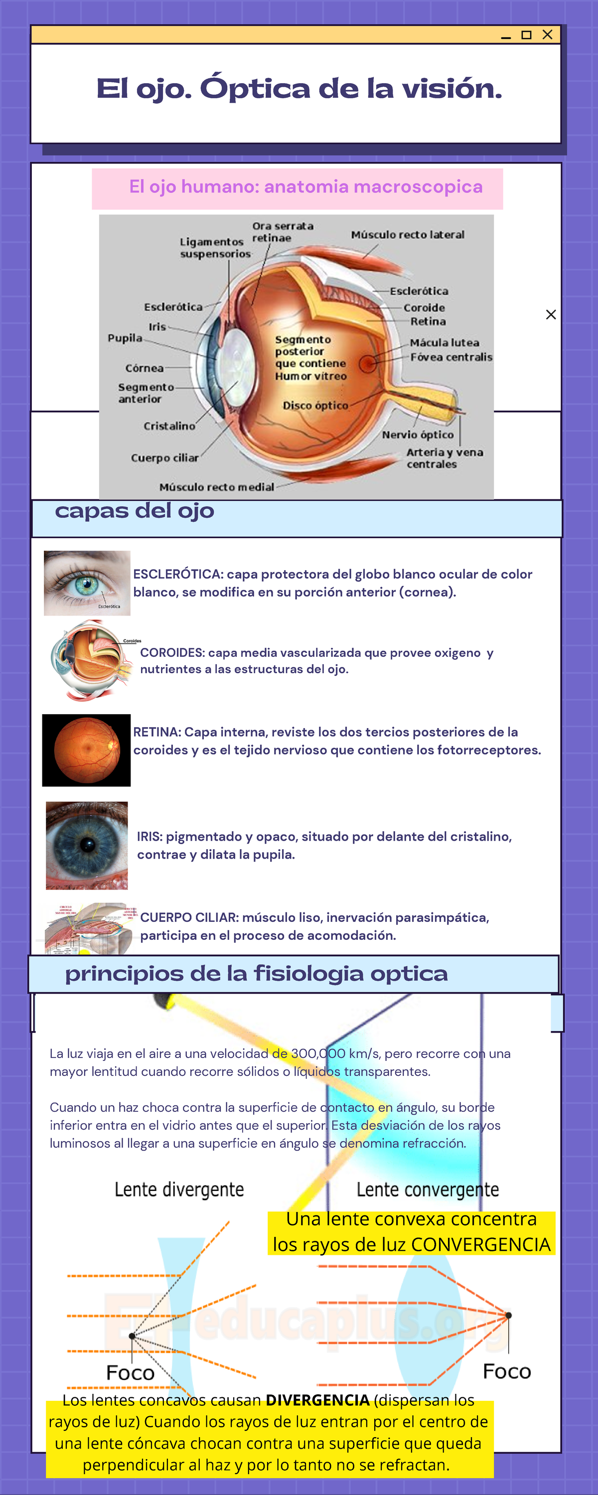 Infografia De Optica Y Visión Dilcia Solorzano El Ojo Óptica De La Visión La Luz Viaja En El 0861