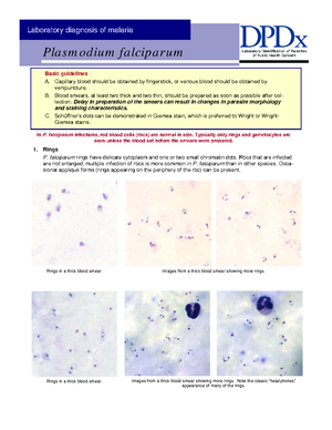 Malaria comparison p3-6 - Plasmodium falciparum Blood Stage Parasites ...